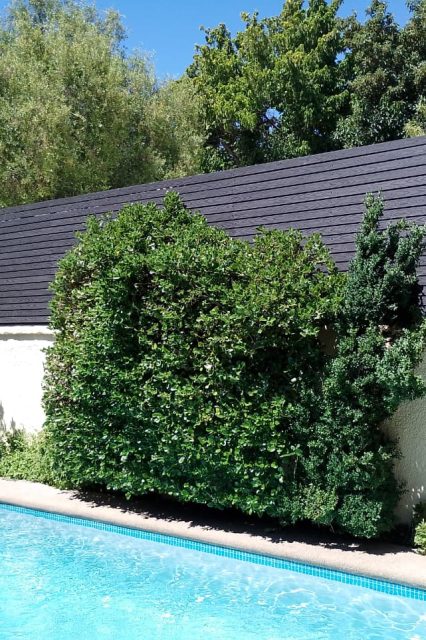 Instalar corta vista BAMDECKS